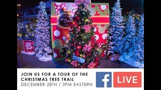 Christmas Tree Trail Disney Springs 2017 [upl. by Larner]