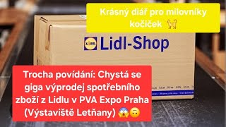 Lidl haul  Diář pro milovníky kočiček 🐈 a Giga výprodej 😱 [upl. by Boccaj436]