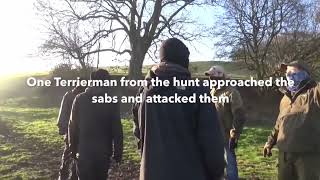 Ledbury Hunt terriermen attack protesters at badger sett 2016 [upl. by Ennaira]