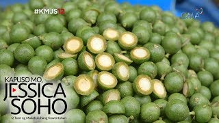 Kapuso Mo Jessica Soho Native fruits only in the Philippines [upl. by Rehpetsirhc]