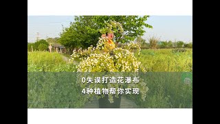 【海媽園藝課堂12】0失誤打造花瀑布，4種植物幫你實現  4 Plants to Help Forming A Plant Combination Like Waterfall [upl. by Ummersen945]