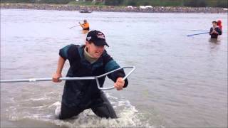 Dipnetting for Salmon in Kenai Alaska July 2012 Watch her net one and haul it in [upl. by Gerta286]