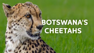 2 Hours Exploring Botswanas Untouched Kingdom  Wildlife Documentary [upl. by Alyssa]