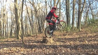 Tessa Tree Stump Jump Look in Slow Motion [upl. by Rosalinda165]