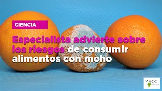 Especialista advierte sobre los riesgos de consumir alimentos con moho [upl. by Noiramed]