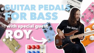 How To Use Guitar Pedals For Bass w Roy MitchellCárdenas [upl. by Fridell]