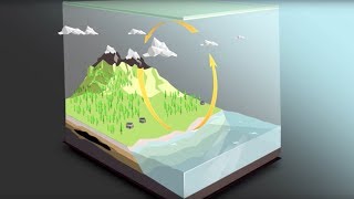 The carbon cycle [upl. by Jacquetta594]