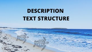 Description text structure  Nonfiction text structure  Happy young readers [upl. by Anileda142]