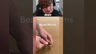 SUPER CUTE Beach Worm… [upl. by Quintilla]