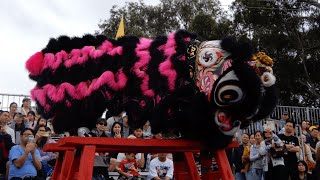 Lion on Benches 2024 Cabramatta Moon Festival  Sydney Yun Yee Tong [upl. by Nnaycart]