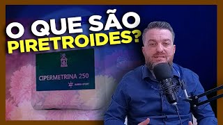 O que são os piretroides [upl. by Anisamot]