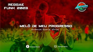 INVEJA SOFRE VENDO O MEU PROGRESSO  MC PH REGGAE FUNK 2024 [upl. by Portuna]