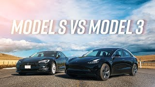 Model 3 vs Model S The Ultimate Tesla Battle [upl. by Jasmine425]