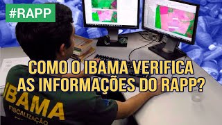 Como o Ibama verifica as informações do RAPP [upl. by Itida]