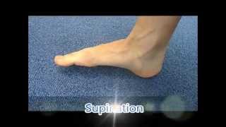 Ankle pronation and supination [upl. by Rufena]