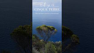 Hiking in Cinque Terre Italy  The Trail from Levanto to Monterosso [upl. by Dercy]