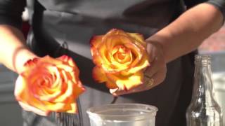 How to Preserve Flowers with Wax [upl. by Preiser293]