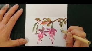 国画圣诞卡2 灯笼花 Christmas card2Fuchsia ‖Chinese Painting2022 [upl. by Lesko]