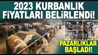 2023 KURBANLIK SATIŞLARI BAŞLADI Kurbanlık Fiyatları 2023  Hacı Rıfat Kondur Besi Çiftliği [upl. by Thgiwed]