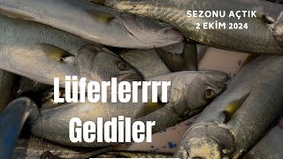 2 EKİM Lüfer Sezonunu Açtık [upl. by Alla]