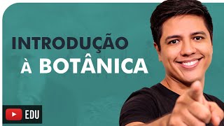 INTRODUÇÃO À BOTÂNICA  Briófitas Pteridófitas Gimnospermas e Angiospermas  Prof Kennedy Ramos [upl. by Irat350]