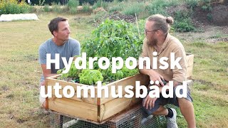 Hydroponisk utomhusbädd  Hemmaodlat [upl. by Ardath]