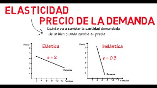 Elasticidad de la demanda  Cap 6  Microeconomía [upl. by Fenny271]