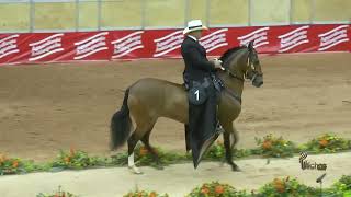 ALEJA DE MARABELES GRAN CAMPEONA RESERVADA TROCHA Y GALOPE 22 EXPO RIONEGRO GRADO B 2024 [upl. by Akfir]