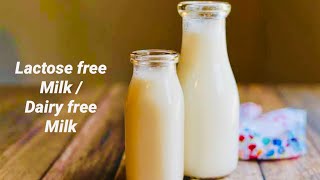 Lactose Free Milk  How To Make Dairy free Milk At Home [upl. by Arammahs]