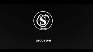 Schule Schloss Salem Lipdub 2018 [upl. by Haleemak]