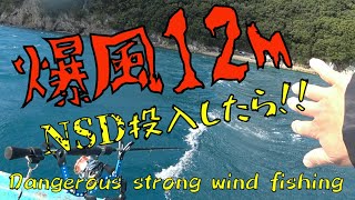 【ダンゴ釣り】強風注意報12メートルの爆風の中ダンゴ釣りは、やめた方がいい！と思った [upl. by Alis]