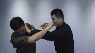 A Practical Course in SelfDefense with NEXTOOL Tactical Pens [upl. by Crescantia431]