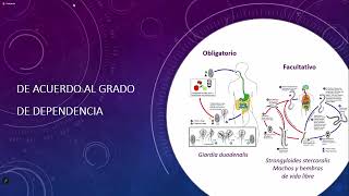 Parasitología Enfermedad parasitaria [upl. by Adnohsak563]