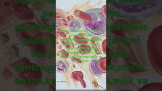 Haemoglobin 14 se18 jaroori haiheamoglobinbloodpressurebloodplateletskiwimilkfruits [upl. by Drofub590]