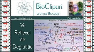 59 Reflexul de deglutiție Corint [upl. by Ahsined]