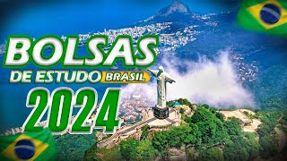 Tudo sobre as Principais Bolsas de Estudo no Brasil  2023 2024 [upl. by Ainitsirc553]