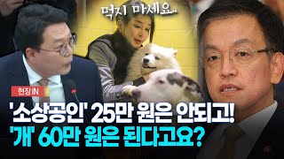 현장영상 여사 개사랑에 나랏돈 3500억이 김건희법 물었더니 답변이 [upl. by Aicnatsnoc]