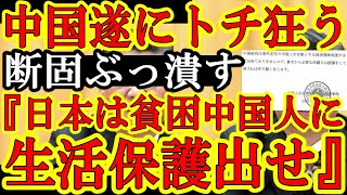 【日本人発狂！ざけんなゴラァ！中国領事館『日本の地方自治体は中国人を外国人生活保護で援助せよ』】日本は中国の属国か？200の地方自治体から『外国人生活保護と脱退一時金を潰したい』と連絡が殺到してんだぞ [upl. by Caravette]