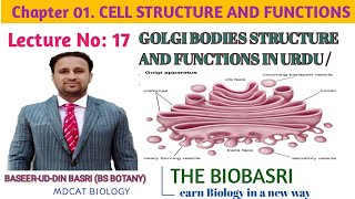 GOLGI BODIES STRUCTURE AND FUNCTIONSIN URDU HINDI  GOLGI APPARATUS [upl. by Adna344]