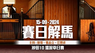 《香港馬評》直播 ｜ 賽日解馬 ｜ 沙田 10 場泥草地日馬賽事｜20240915 ｜ 主持：排哥、張志立、江譽求 [upl. by Dielle]