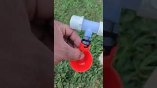 Bebedero automatico para mis gallinas Parte 2 diy viralvideo hagaloustedmismo [upl. by Ahen216]