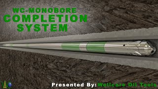 WELLCARE MONOBORE COMPLETION SYSTEM [upl. by Ecnarolf]