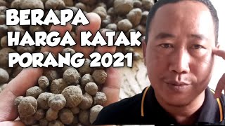 Harga Katak Porang 2021 [upl. by Amiel]