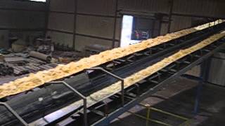 Outfeed Strand Conveyor [upl. by Akciret]