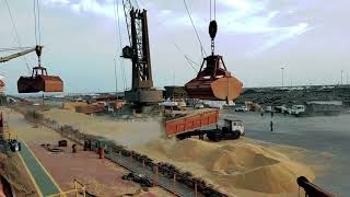 KANDLA PORT LOADING WHEAT IN BULK [upl. by Roberta768]