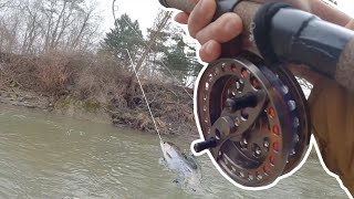 How to catch BIG steelhead in SHALLOW water  Centerpin Fishing [upl. by Aicella]