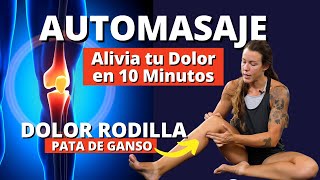 Masaje para Aliviar tu Dolor de Rodilla en 10 Minutos  TENDINOPATÍA PATA DE GANSO [upl. by Alton524]