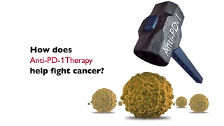 How Does AntiPD1 Therapy Help Fight Cancer [upl. by Kushner462]