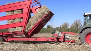 Arundo Donax ArundoK12 harvesting 20132014 [upl. by Terrena]