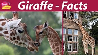 Giraffe 10 Facts with Bommi   WorldWideFacts [upl. by Flavio]